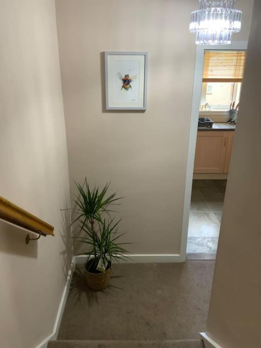 From Home, 3 Bedroom House In